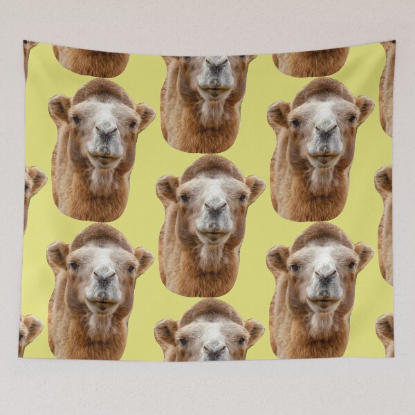Item preview, Bactrian camel designed and sold by Dalyndigital Photography.