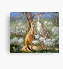 Kangaroos Metal Print