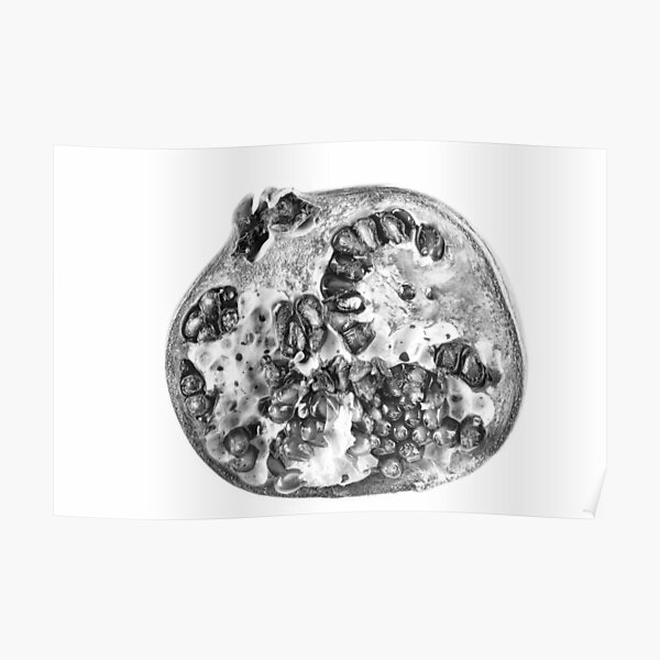 Pomegranate in Black and White Poster