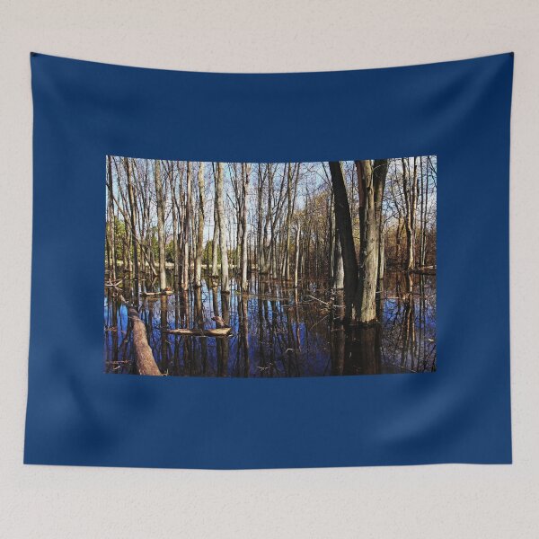 Item preview, Spring At The Pond designed and sold by Debbie Oppermann.
