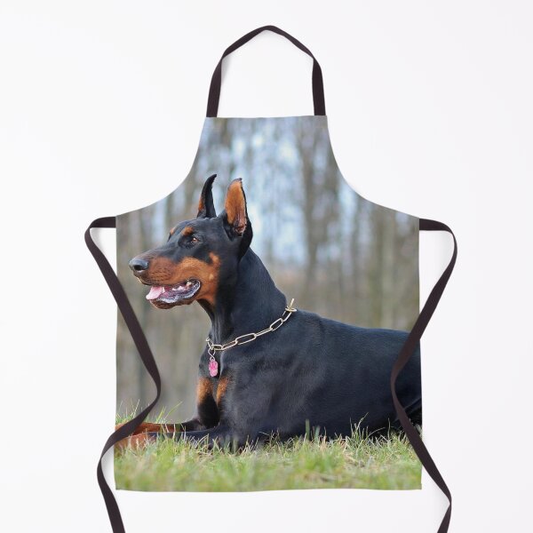 Item preview, Lying doberman dog animal designed and sold by ReginaldBerenos.