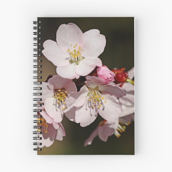 Item preview, Pink Cherry Blossoms designed and sold by Debbie Oppermann.