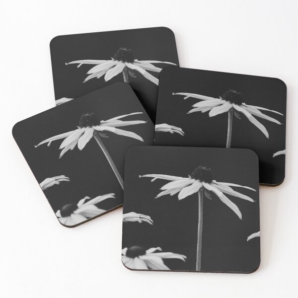 Item preview, Stand Tall Black Eyed Susans bw Nature Beauty designed and sold by eddiebarronshop.