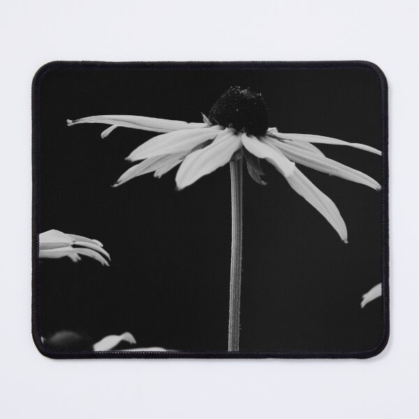 Item preview, Stand Tall Black Eyed Susans bw Nature Beauty designed and sold by eddiebarronshop.