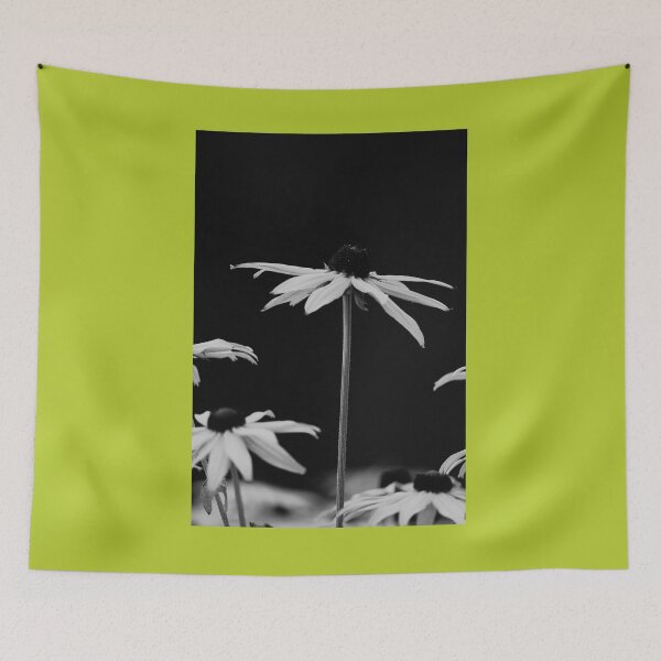 Item preview, Stand Tall Black Eyed Susans bw Nature Beauty designed and sold by eddiebarronshop.