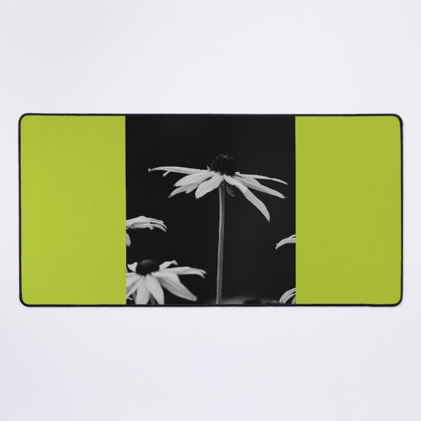 Item preview, Stand Tall Black Eyed Susans bw Nature Beauty designed and sold by eddiebarronshop.