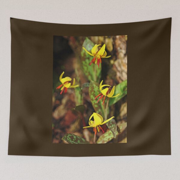 Item preview, Trout Lilies designed and sold by Debbie Oppermann.