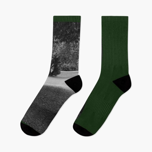Item preview, Trees in the Park Vertical bw Nature Beauty designed and sold by eddiebarronshop.