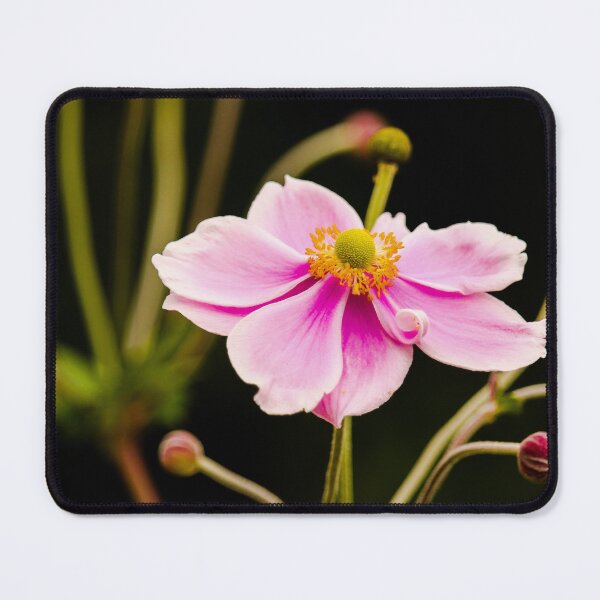 Item preview, Vibrant Pink Flowers Effects Nature Beauty designed and sold by eddiebarronshop.