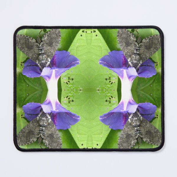 Item preview, Spinx Hawkmoth on a morning glory  designed and sold by OrangeEden.