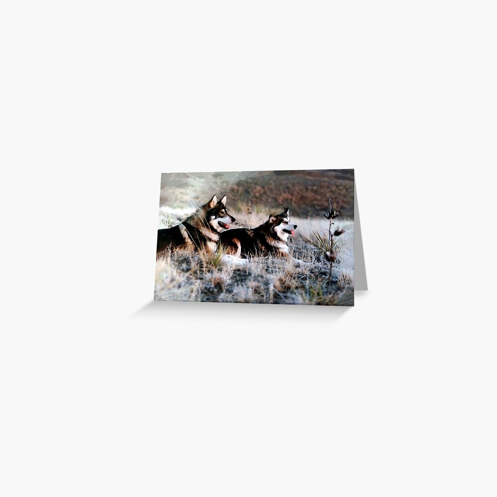 Item preview, Greeting Card designed and sold by rmcdi.