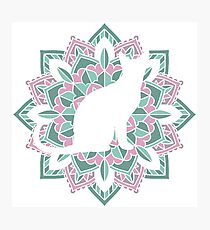 Lámina fotográfica Cat Mandala