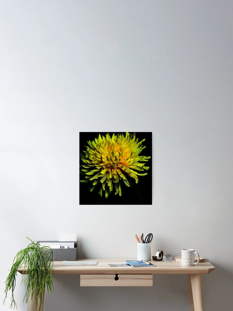 Thumbnail 2 of 3, Poster, Spring Sprung designed and sold by bobewing.