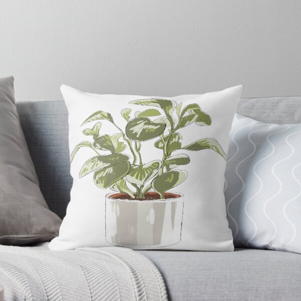 Item preview, Potted Peperomia Houseplant designed and sold by peristeronic.