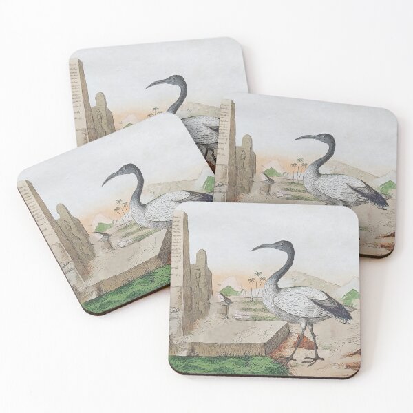 Item preview, The African Sacred Ibis designed and sold by louisxvpod.