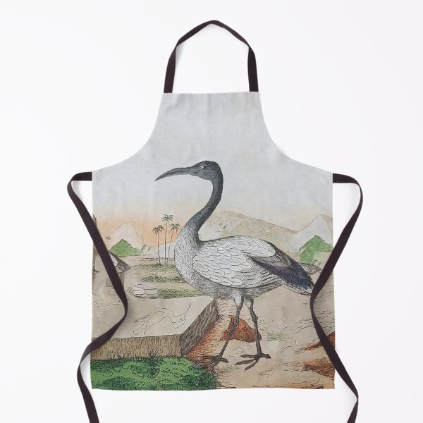 Item preview, The African Sacred Ibis designed and sold by louisxvpod.
