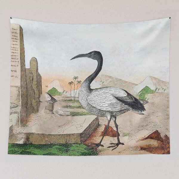 Item preview, The African Sacred Ibis designed and sold by louisxvpod.