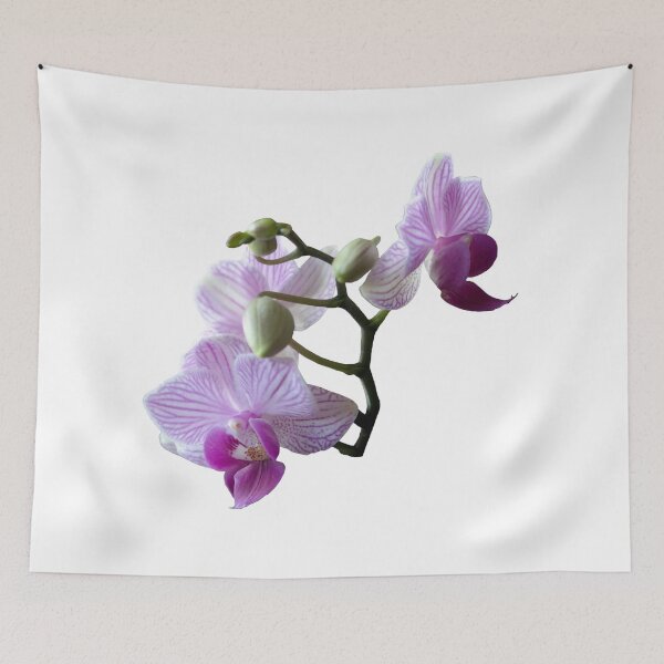 Item preview, Twig pink orchid Phalaenopsis designed and sold by WRECZ.