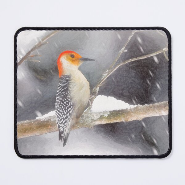 Item preview, Red-Bellied Woodpecker - Original Art designed and sold by alpendesigns.
