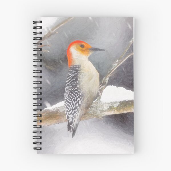 Item preview, Red-Bellied Woodpecker - Original Art designed and sold by alpendesigns.