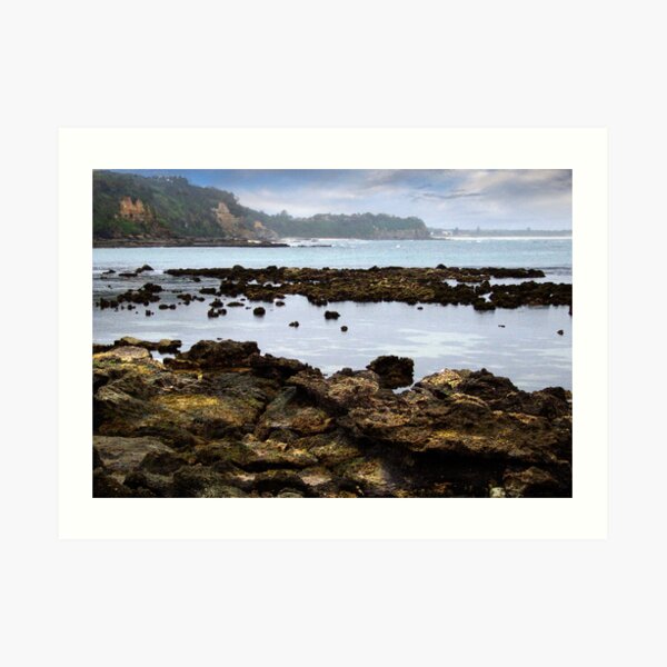 north from Cabbage Tree Bay Art Print