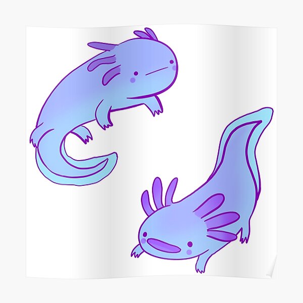 "Blue axolotls drawing" Poster for Sale by Mayarart Redbubble