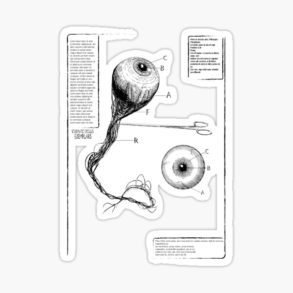 Item preview, goth eyeball diagram designed and sold by DarfCvr.