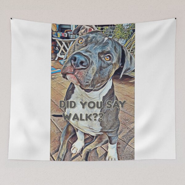 Item preview, Questioning Blue Nose Pittie designed and sold by epicevolution.