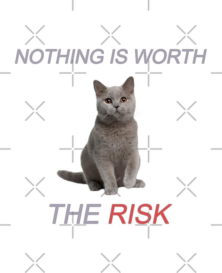 NOTHING IS WORTH THE RISK - mandela catalogue Roblox ID - Roblox music codes