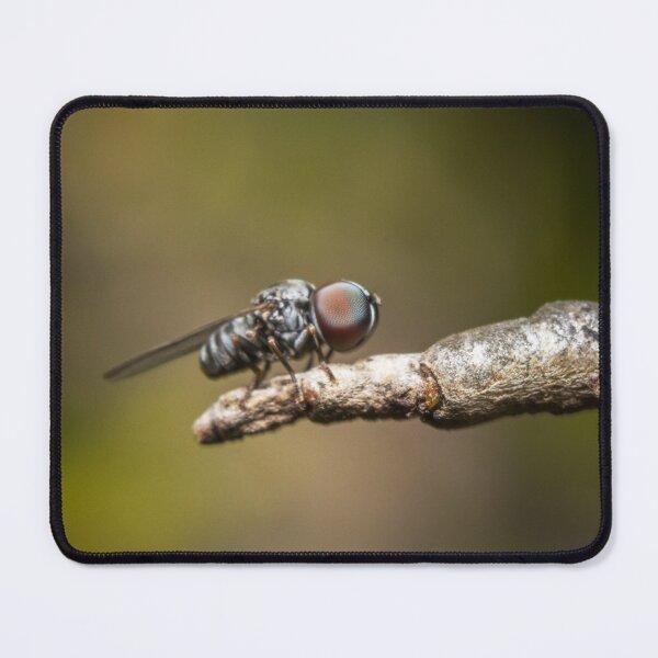 Item preview, Hoverfly designed and sold by Wes Goorachan.