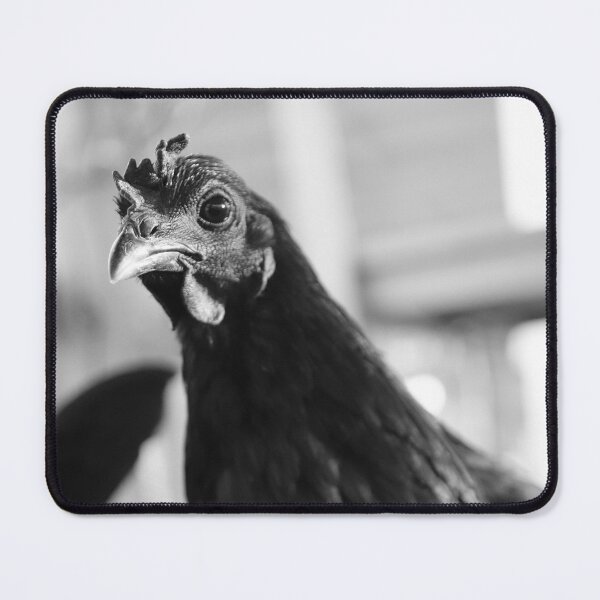Item preview, All black hen designed and sold by Daniel Tuttle.