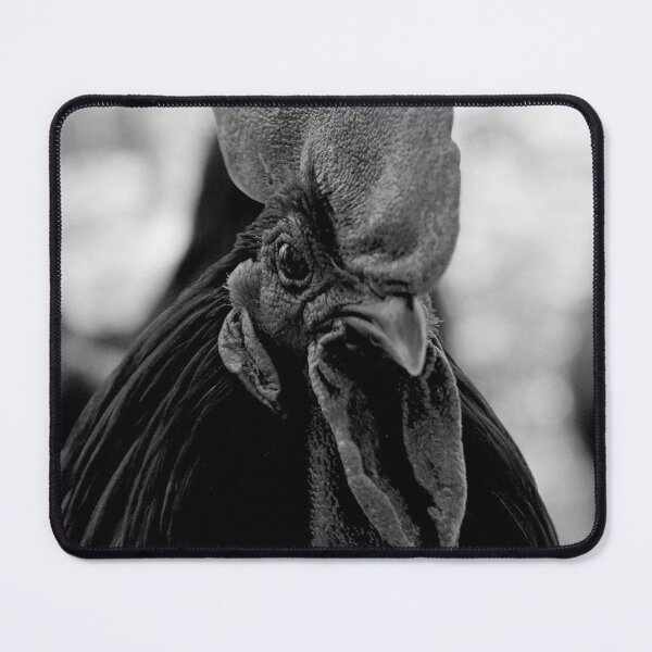 Item preview, Handsome all black rooster designed and sold by Daniel Tuttle.
