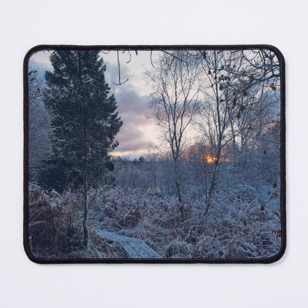 Item preview, The Holly and the Boardwalk designed and sold by ShinyPhoto.