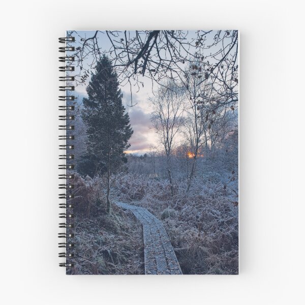 Item preview, The Holly and the Boardwalk designed and sold by ShinyPhoto.