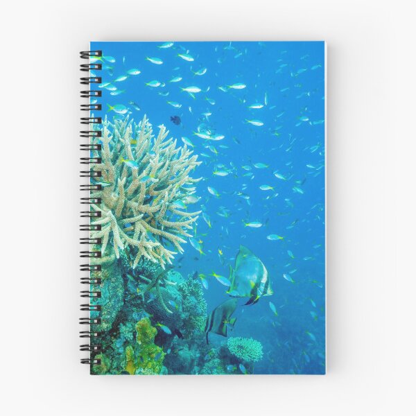 Item preview, Reef scene designed and sold by David Wachenfeld.