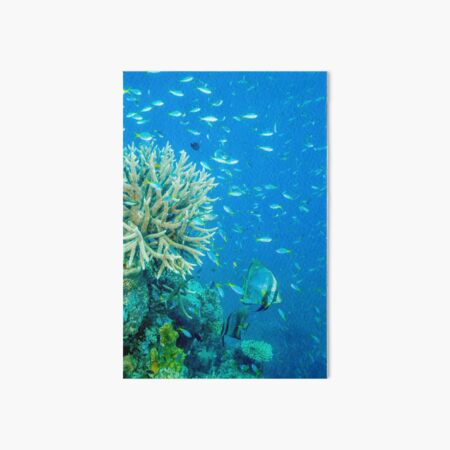 Reef scene Art Board Print
