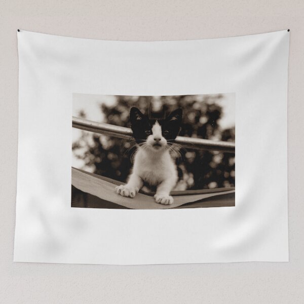 Item preview, Cat on a tent. designed and sold by James Pearson.