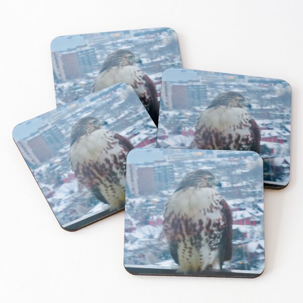 Item preview, Hawk on my balcony designed and sold by Shulie1.