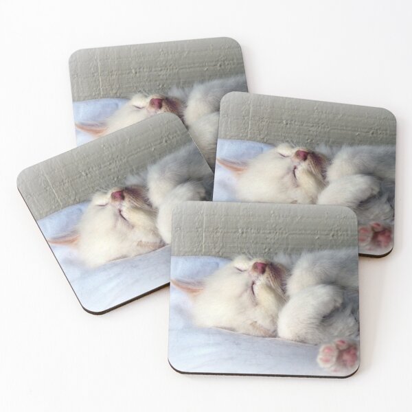 Item preview, Sleepy Kitten designed and sold by Frankie Cat Photography.