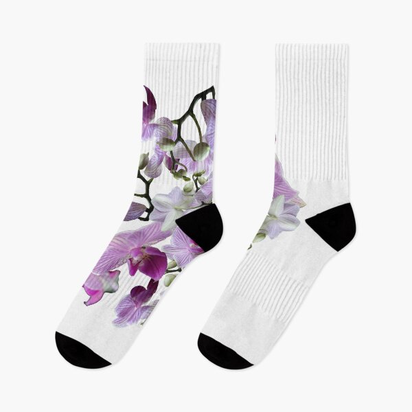 Item preview, Pink orchid Phalaenopsis composition designed and sold by WRECZ.