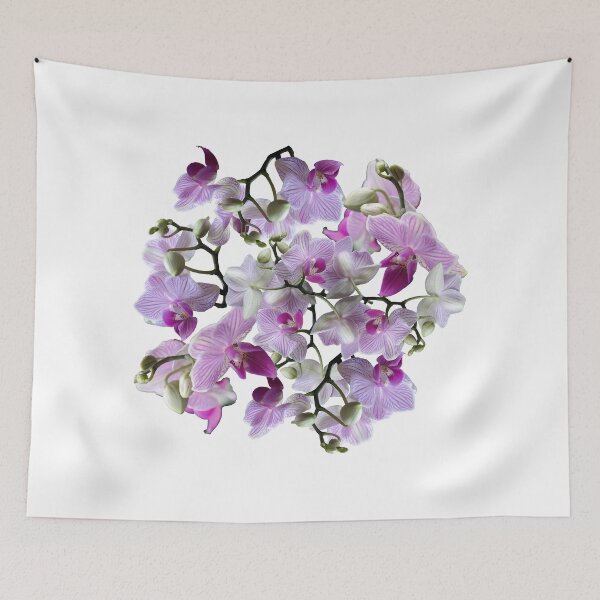 Item preview, Pink orchid Phalaenopsis composition designed and sold by WRECZ.