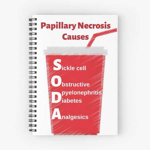 Item preview, Papillary Necrosis Causes: SODA Medical Mnemonic designed and sold by Caregiverology.