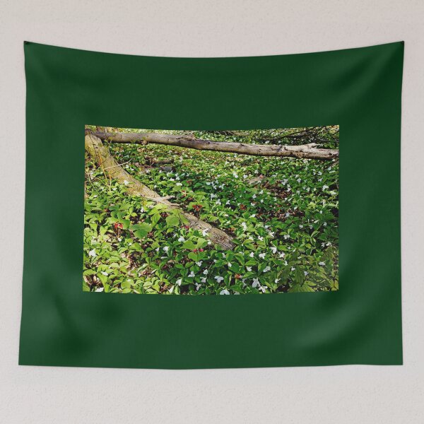 Item preview, Trillium Patch designed and sold by Debbie Oppermann.