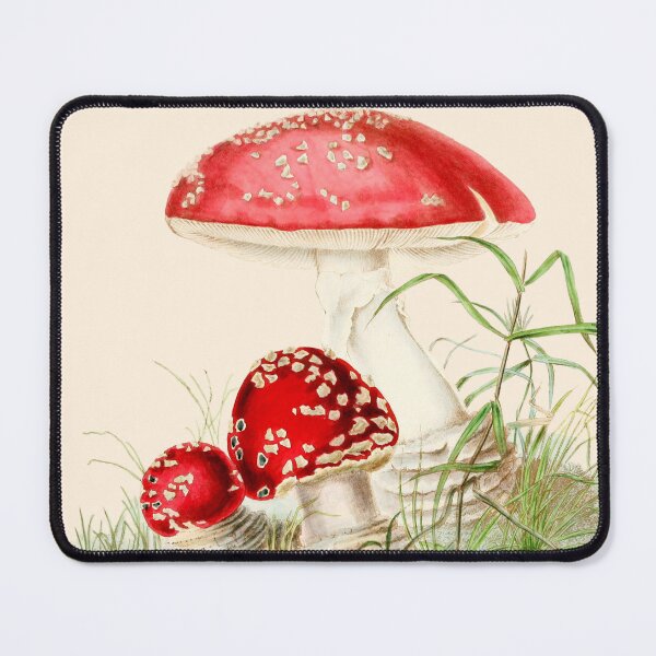 Item preview, Agaricus Muscarius Mushroom - Vintage Illustration designed and sold by chrisbagel.