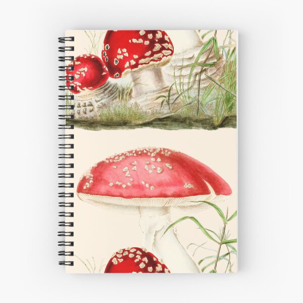 Item preview, Agaricus Muscarius Mushroom - Vintage Illustration  designed and sold by chrisbagel.