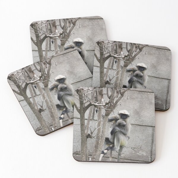 Item preview, Gray Langur in Badami Fort designed and sold by VgBingi.