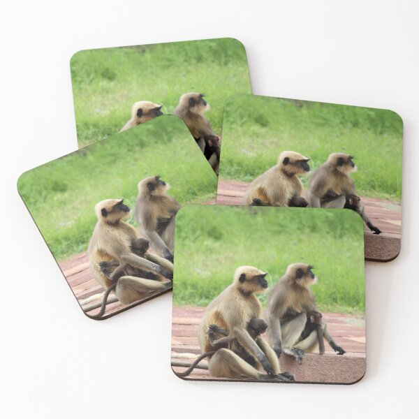 Item preview, Gray Langurs in Badami Fort designed and sold by VgBingi.