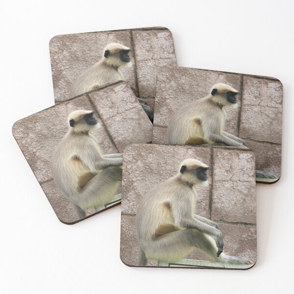 Item preview, Gray Langur in Badami Fort designed and sold by VgBingi.