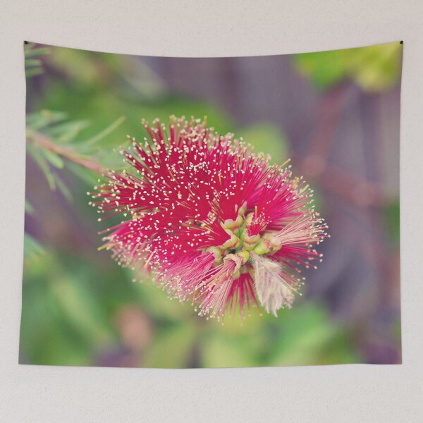 Item preview, On display Australian Red Bottlebrush  designed and sold by Bellamaree.