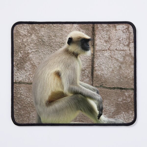 Item preview, Gray Langur in Badami Fort designed and sold by VgBingi.